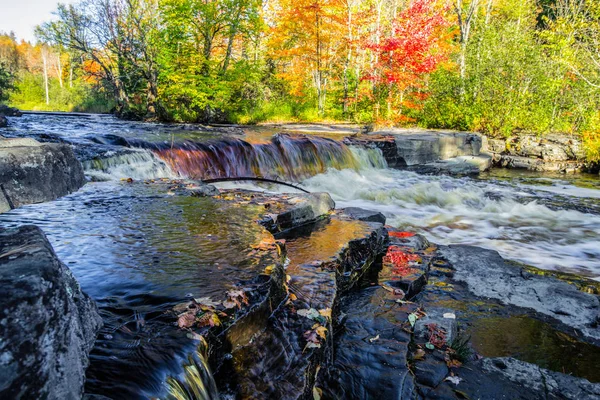 Michigan Autumn River Landscape Beau Feuillage Automnal Reflété Dans Rivière — Photo