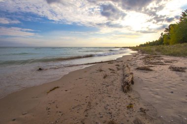 Driftwood Sahili. Kumlu bir kumsalda gün batımı ön planda sürüklenen ağaçlarla ve arka planda su üzerinde güzel bir günbatımının başlangıcı Alpena, Michigan 'da Büyük Göller kıyısında..