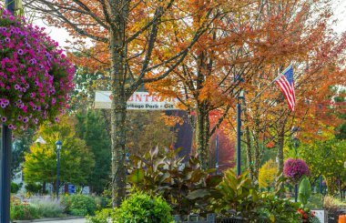 Küçük kasaba Usa. Frankenmuth, Michigan 'da sonbahar yeşillikleri ve Amerikan bayrağıyla ana cadde Usa.