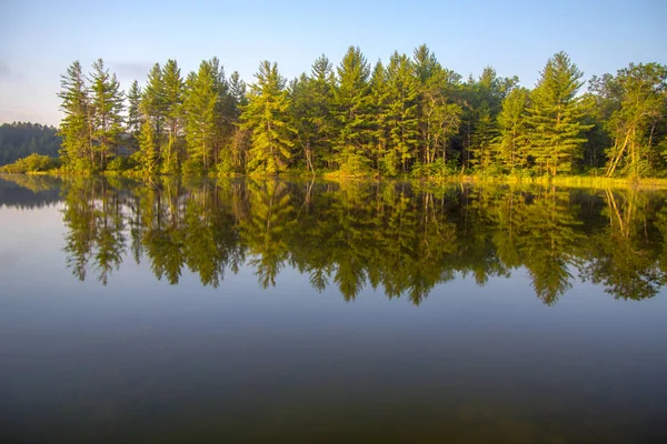 林湖反思 密西根州北部湖水平静反映出美丽的荒野森林 — 图库照片