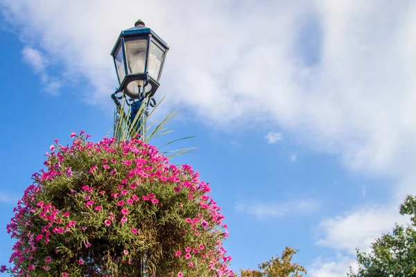 Traditional Lamp Post Old Fashioned Lamppost Large Hanging Basket Lush — Stock Photo, Image