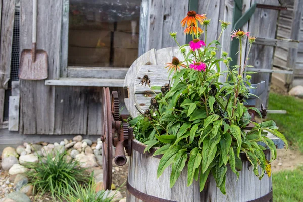 Country Style Garden Potted Plants Shovel Small Quaint Wooden Backyard — Stock Photo, Image