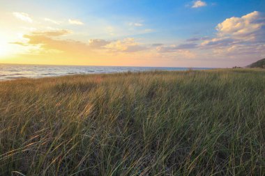 Yaz Sunset Sahili Arkaplanı. Michigan Gölü kıyısında güzel bir yaz günbatımı. Muskegon, Michigan, Usa 'daki Hoffmaster Eyalet Parkı' nda ön planda kum çimleri var..