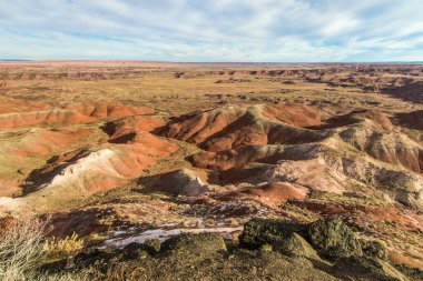 Boyalı Çöl Taşlaşmış Orman Ulusal Parkı Holbrook, Arizona 'da engebeli bir çöl manzarasına bakıyor..