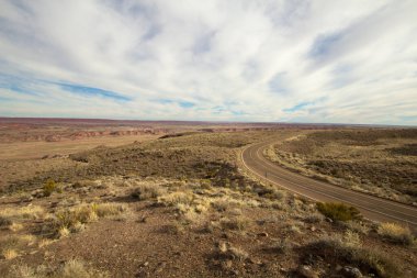 Hiçliğe giden yol. Amerika 'nın güneybatısındaki çorak bir arazide ıssız ve boş bir çöl karayolu esiyor..