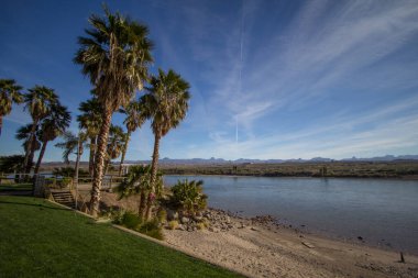 Laughlin Nevada Rıhtımı. Laughlin Nevada 'nın rıhtım bölgesindeki Colorado Nehri üzerinde palmiye ağaçları olan sahil..