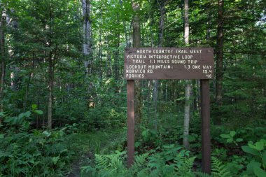 North Country Patikası İşareti. Michigan 'ın Yukarı Yarımadası' ndaki Kuzey Ülke Patikası boyunca mil tabelası.