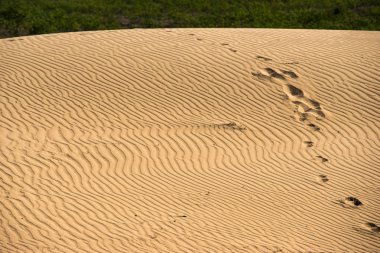 Hebei Guanting çöl manzara alanı