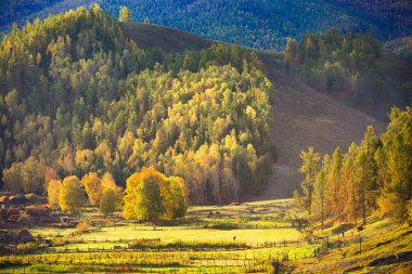 Sincan beyaz haba Köyü sonbahar sahne