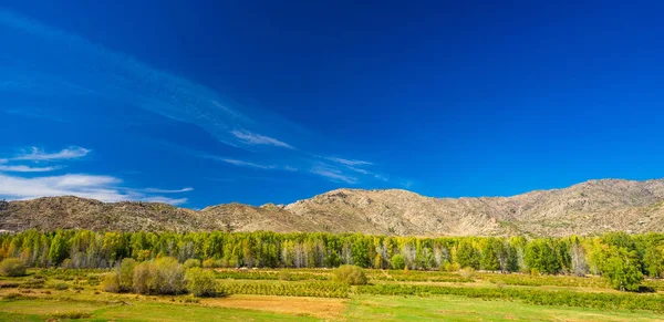 Landscape of National Geopark Scenic Spot in Xinjiang  Cocoa sea — Stock Photo, Image