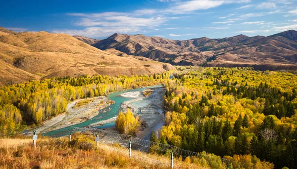 Sincan beyaz Haba Köyü 5 sınır yastık sonbahar sahne üzerinde