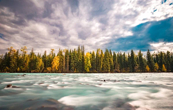 Xinjiang Kanas rivier herfst landschap — Stockfoto