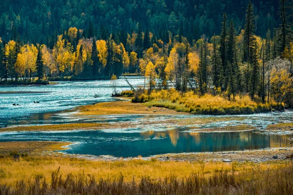 Pemandangan Sungai Kanas Xinjiang — Stok Foto