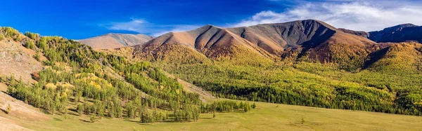 新疆ウイグル自治区 Aletai 草原の秋 — ストック写真