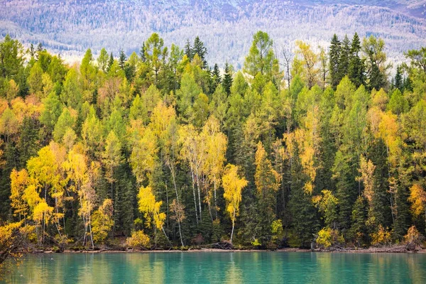 Paysage du lac Kanas du Xinjiang — Photo