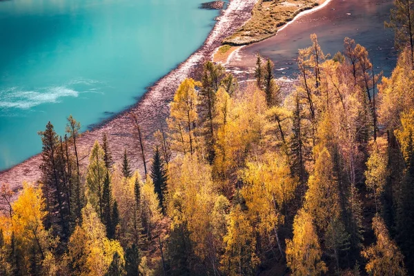 Xinjiang Kanas River Moon Bay Paysage d'automne — Photo