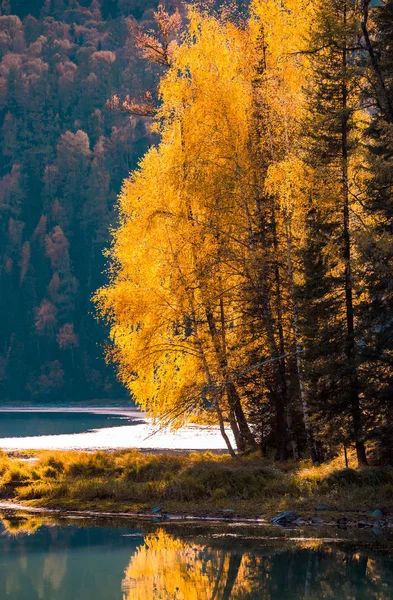 Paysage de la rivière Kanas du Xinjiang — Photo