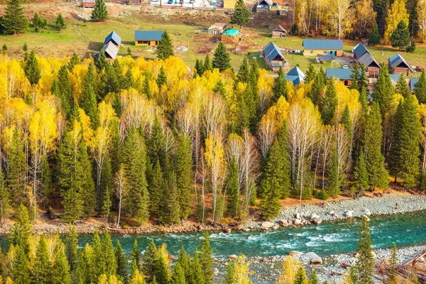 Xinjiang Hemu byn Björk skog hösten landskap — Stockfoto