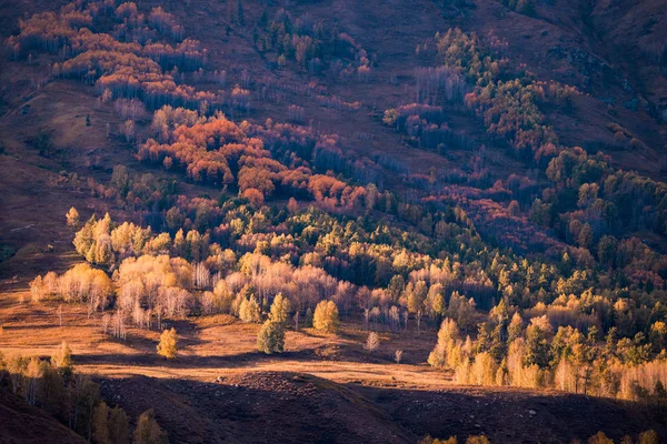 新疆 Hemu 村の秋の風景 — ストック写真