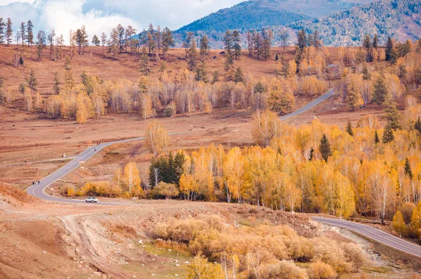 Xinjiang Hemu Village bosque de abedul paisaje de otoño Imagen De Stock