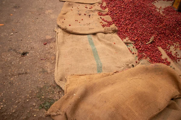 Red Chili Zbliżenie Strzał — Zdjęcie stockowe