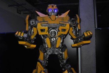 Ev yapımı transformatör sarısı mavi gözlü 