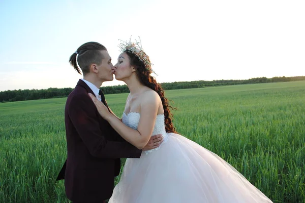 Recién Casados Besan Pareja Boda Una Sesión Fotos Campo Trigo — Foto de Stock