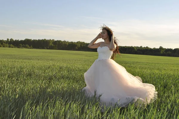 Bride Photo Shoot Wheat Field Sun Rays Illuminate Bride Dress Stock Image