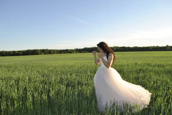 Bride at a photo shoot in the field. The bride touches her hair. The sun\'s rays illuminate the bride. The forest is in the background.