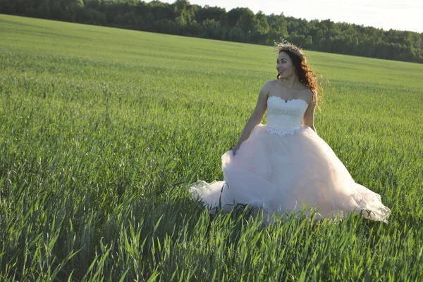 Bride at a photo shoot in the field. The bride looks away in a good mood. The sun\'s rays illuminate the bride. Ten of the bride falls on the field.On the head of the bride\'s wreath.