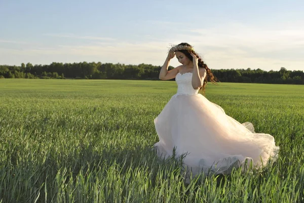 The bride on a photo shoot on a wheat field corrects a wreath. The bride looks down. The sun\'s rays illuminate the bride\'s dress. The bride\'s shadow falls on the grass. Forest in the background.