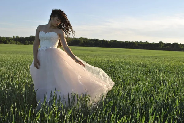 Bride Photo Shoot Wheat Field Bride Poses Camera Bride Hair Royalty Free Stock Photos