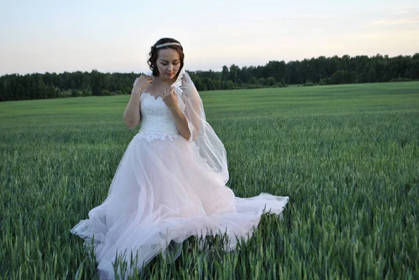 Bride at a photo shoot in a wheat field. The bride lowered her head with a smile on her face. On the head of the bride rim.