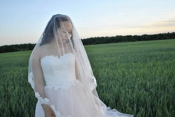 Bride at a photo shoot in a wheat field. The bride closed her eyes under her veil. The bride\'s face is calm.