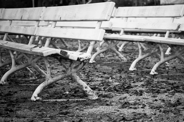 도시 공원에 있는 나무 의자들 — 스톡 사진