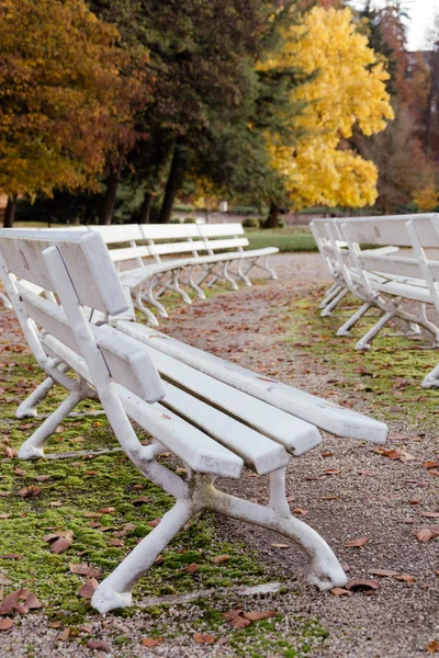 Dřevěné lavičky v městském parku — Stock fotografie