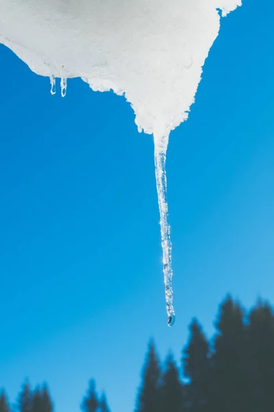 Kleine ijspegels in de winter — Stockfoto