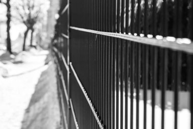 içinde closeup çit