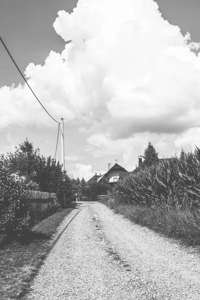 Strada di campagna in estate — Foto Stock