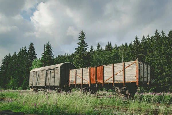 Два старых грузовых вагона на железной дороге — стоковое фото