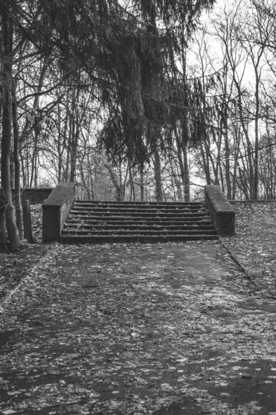 Escadas no parque em preto e branco — Fotografia de Stock