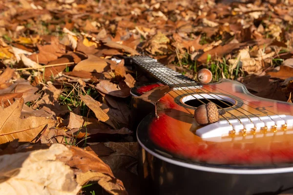 Gitara w jesiennych liściach — Zdjęcie stockowe