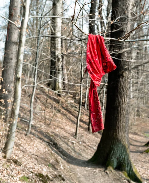 Pano vermelho em uma árvore — Fotografia de Stock