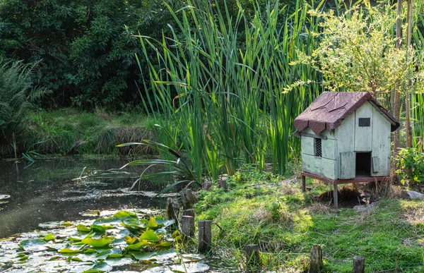 An decorative duck house in nature — Stock Photo, Image