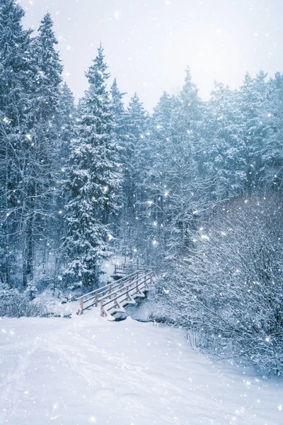 木造橋で森の中の冬の風景 ロイヤリティフリーのストック写真