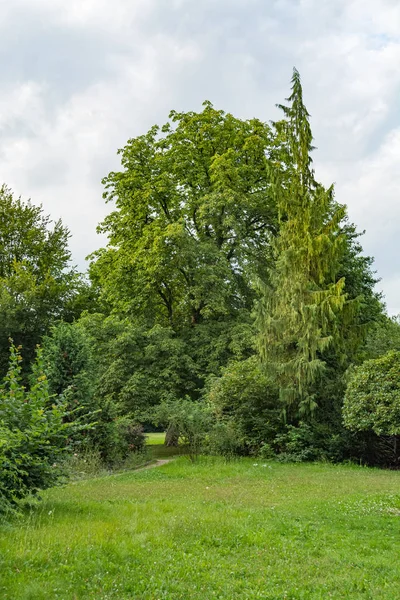 Idyllic meadow with tree in a city park — Stock Photo, Image