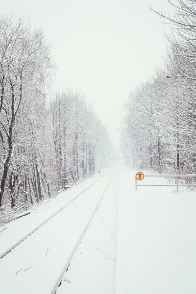 Una ferrovia innevata attraverso un bosco — Foto Stock