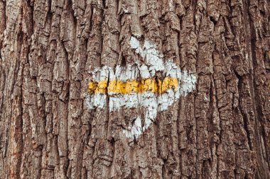 Ağaç kabuğunda ok olan bir ağaç gövdesi