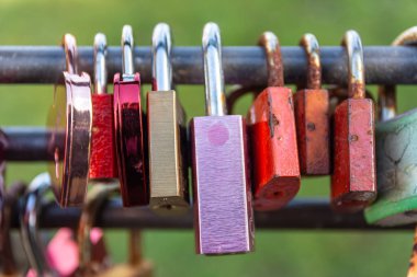 Aşk doğada yakın planda kilitlenir.