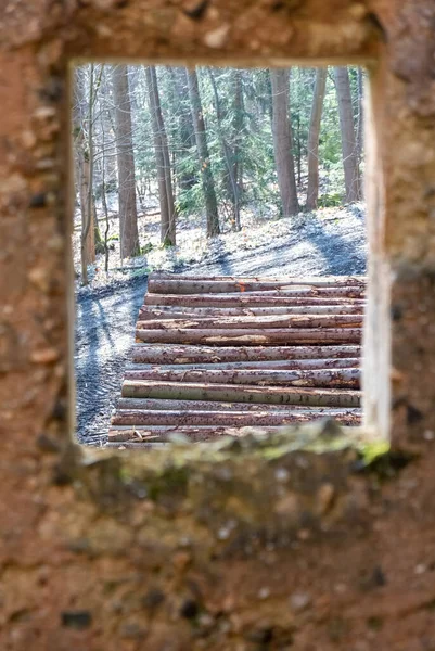 Mur Avec Des Fenêtres Donnant Sur Tas Bois Dans Forêt — Photo